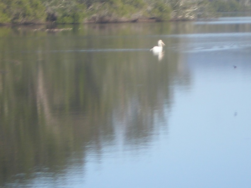 4/229 Ocean Drive, Lakewood NSW 2443