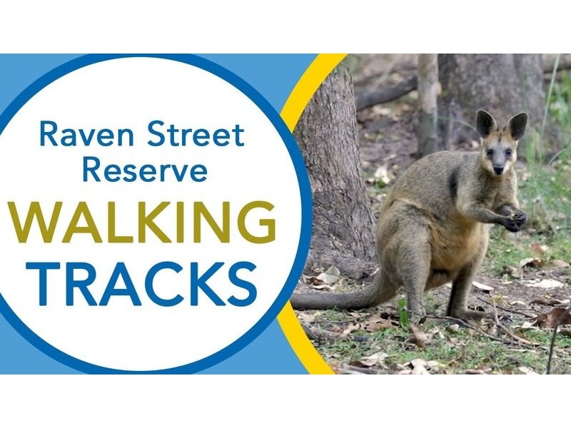 325 Trouts Road, Mcdowall QLD 4053