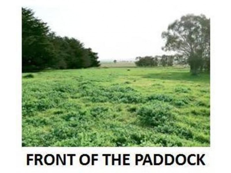 270 Eurambeen Raglan Road, Raglan VIC 3373