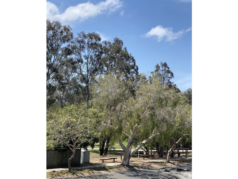 49 Paramount Circuit, Mcdowall QLD 4053