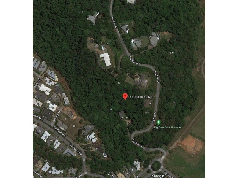 45-47 Fig Tree Drive, Caravonica QLD 4878