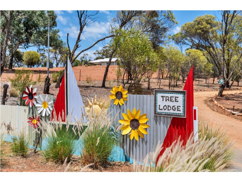 119 JULIMAR ROAD, Toodyay WA 6566