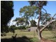 115 Agars Rd, Balliang East VIC 3340