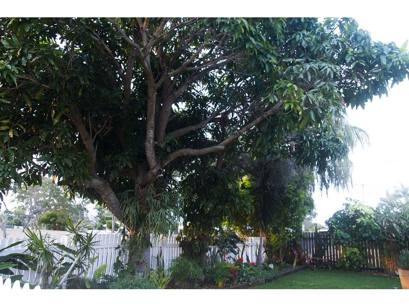 3 Bell St, Point Vernon QLD 4655