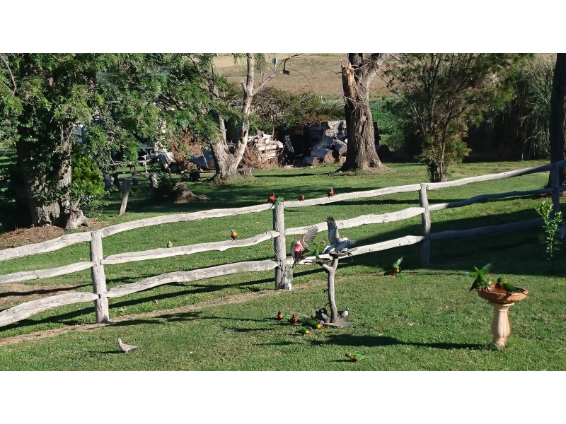 14 Curr Rd, Stanthorpe QLD 4380