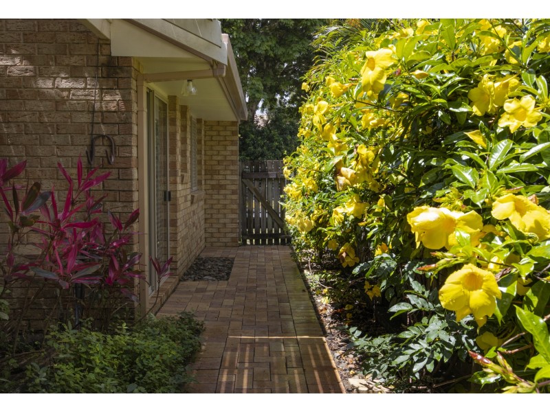 5 Woolumba Street, Tewantin QLD 4565