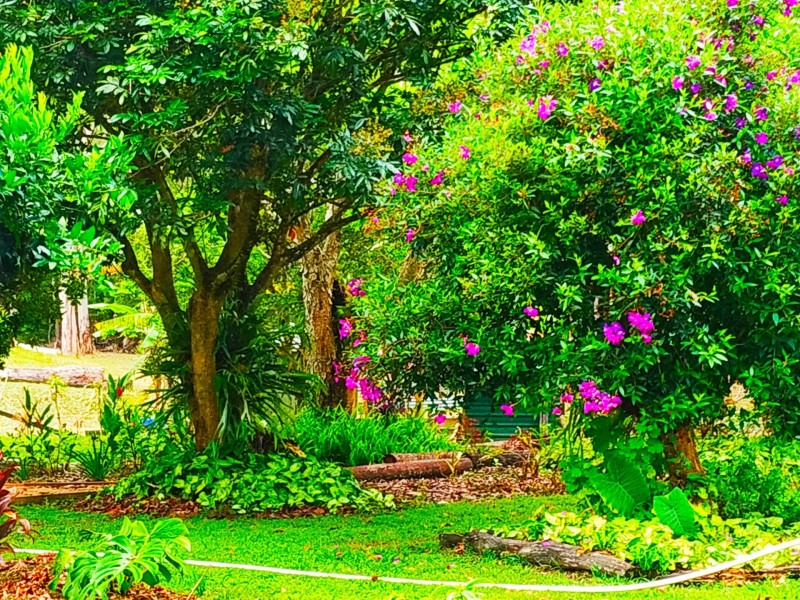 Pomona QLD 4568