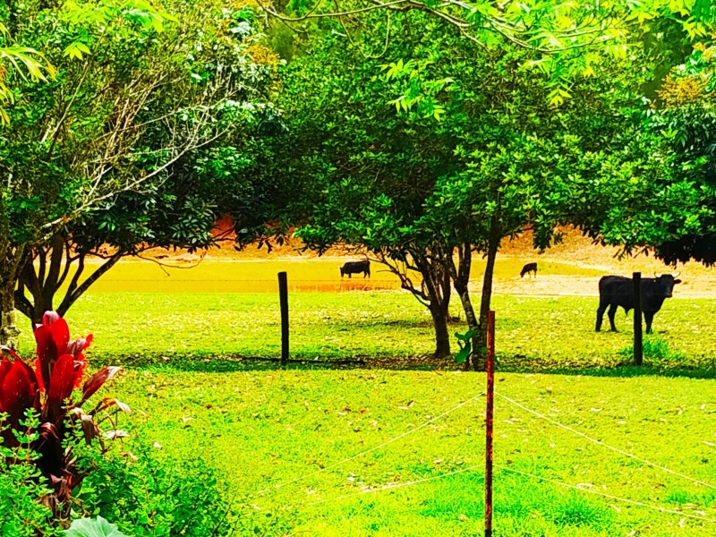Pomona QLD 4568