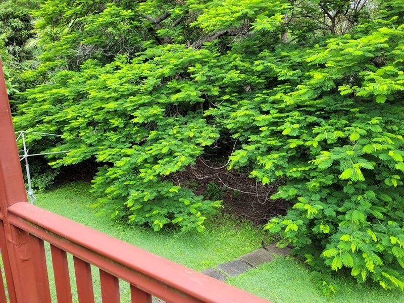 22 Windmill Street, Tarragindi QLD 4121