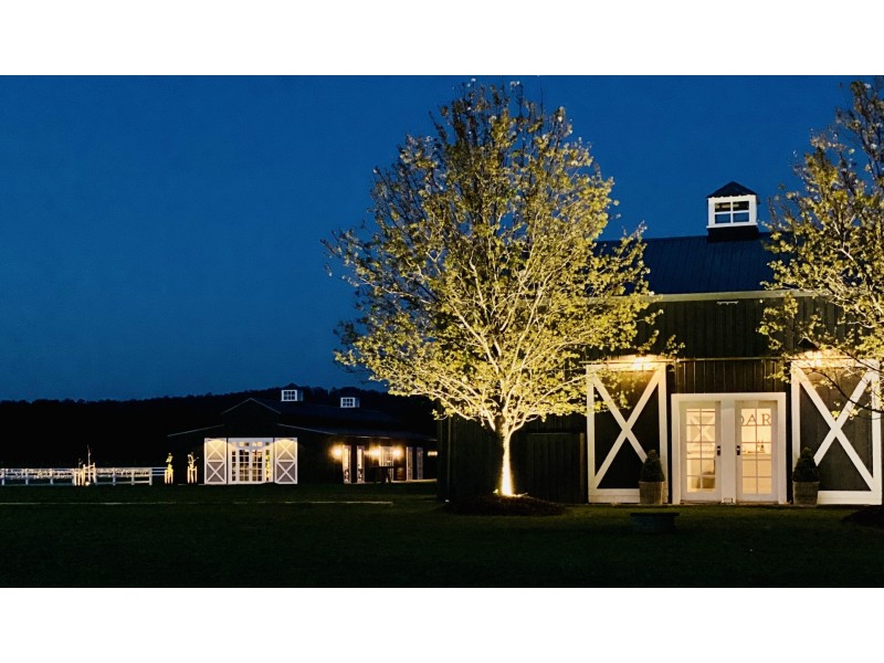 386 Wilderness Road, Lovedale NSW 2325