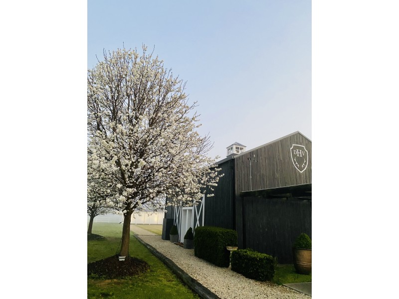 386 Wilderness Road, Lovedale NSW 2325