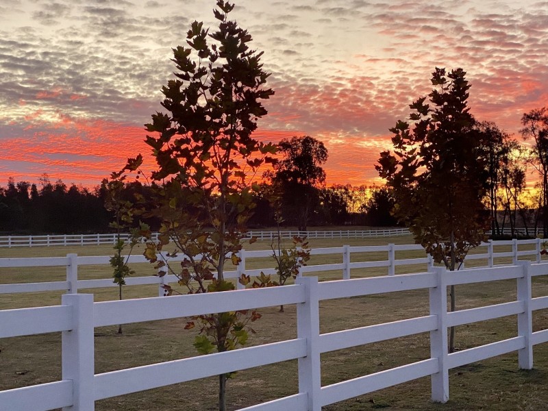 386 Wilderness Road, Lovedale NSW 2325