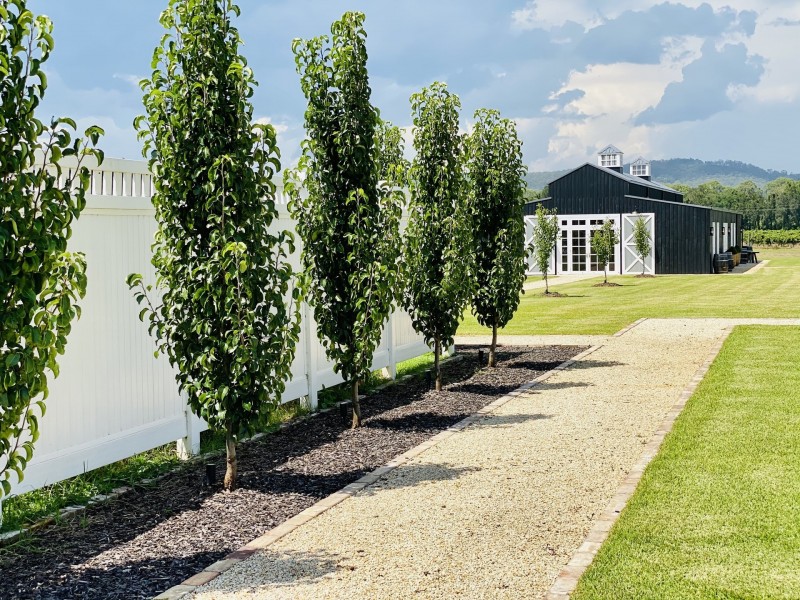 386 Wilderness Road, Lovedale NSW 2325