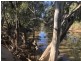 727 Wandary Lane, Forbes NSW 2871
