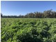 727 Wandary Lane, Forbes NSW 2871