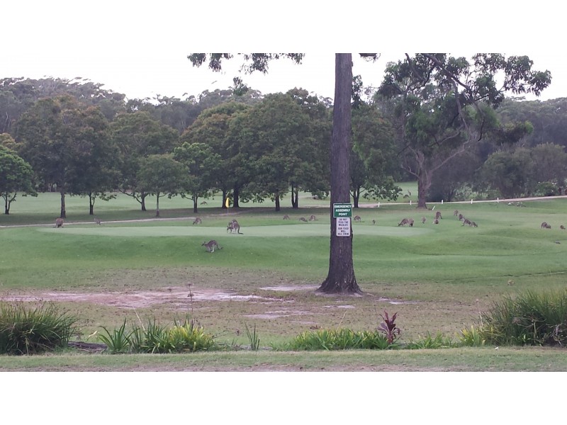 4 Lake View Ave, Safety Beach NSW 2456