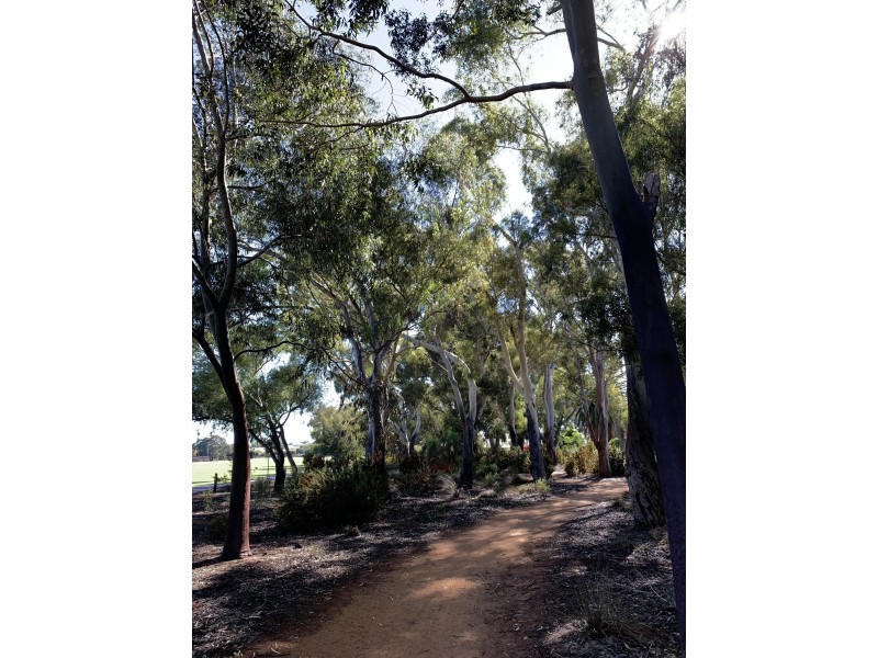 10/9 Brentham Street, Leederville WA 6007