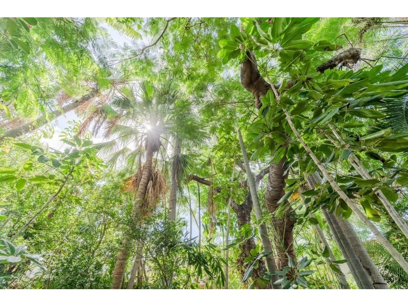 27 Kordick Street, Carina Heights QLD 4152