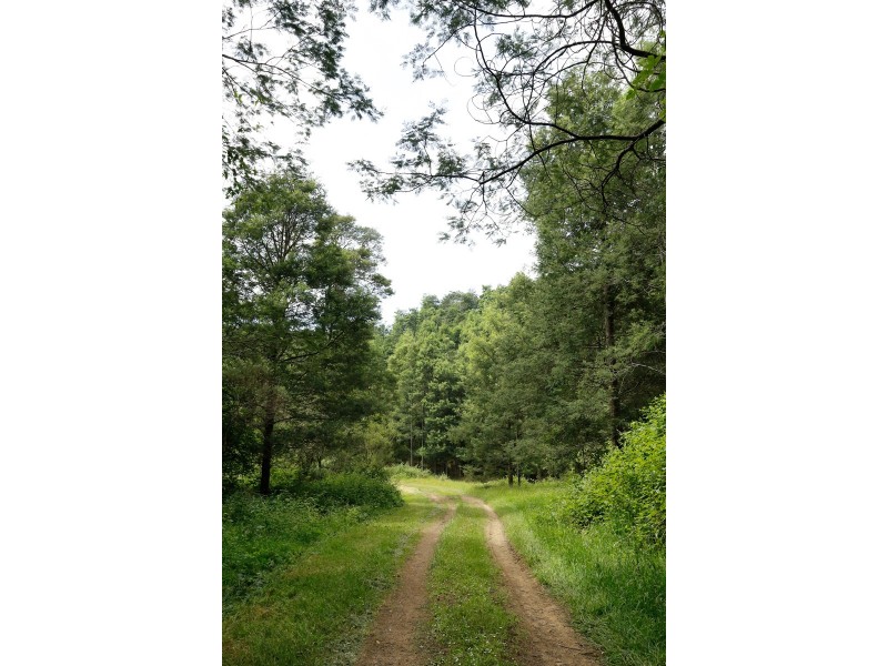 61 Turpins Road, Madalya VIC 3971