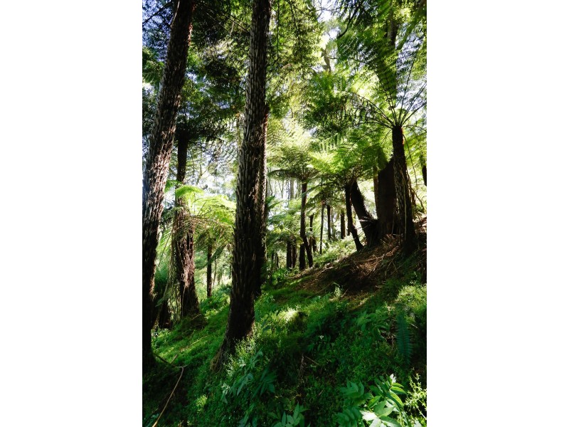 61 Turpins Road, Madalya VIC 3971