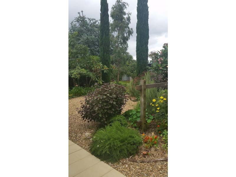 12 Creek Way, Currumbin Valley QLD 4223