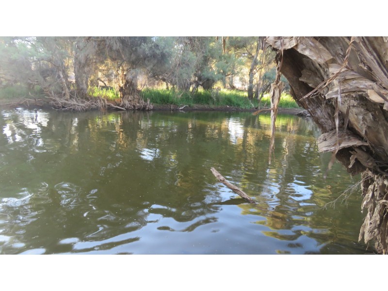 7623 Harvey-Quindanning Road, Quindanning WA 6391