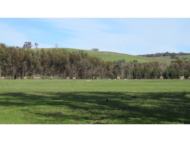 7623 Harvey-Quindanning Road, Quindanning WA 6391