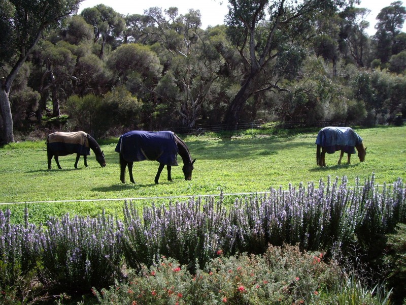 7623 Harvey-Quindanning Road, Quindanning WA 6391