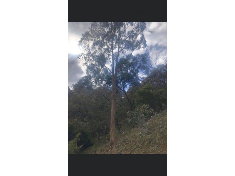 Glenpatrick VIC 3469