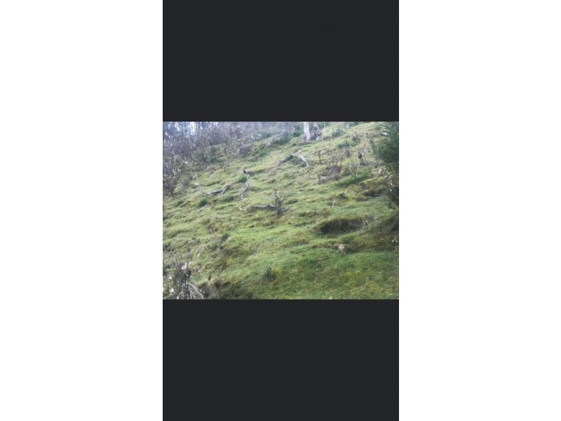 Glenpatrick VIC 3469