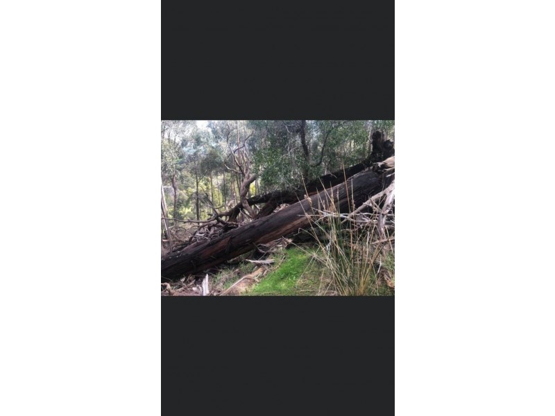 Glenpatrick VIC 3469