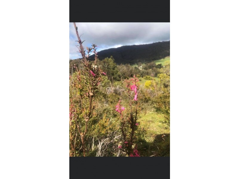 Glenpatrick VIC 3469