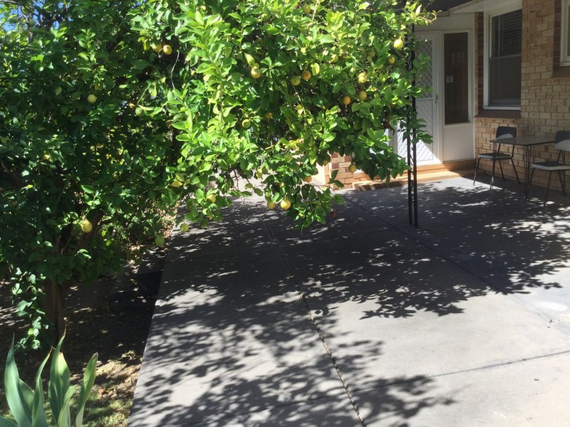 1 Greenock Drive, Sturt SA 5047