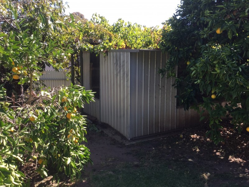 1 Greenock Drive, Sturt SA 5047