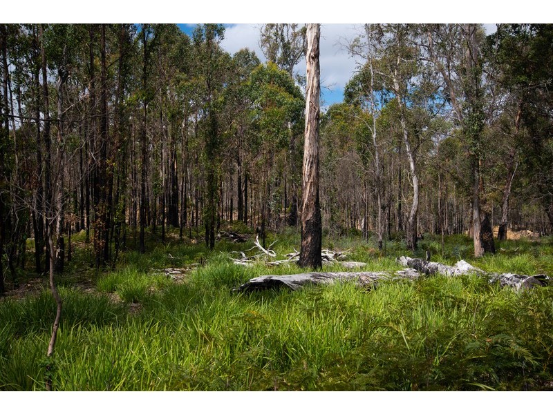 1008 Marked Tree Road, Hamilton TAS 7140