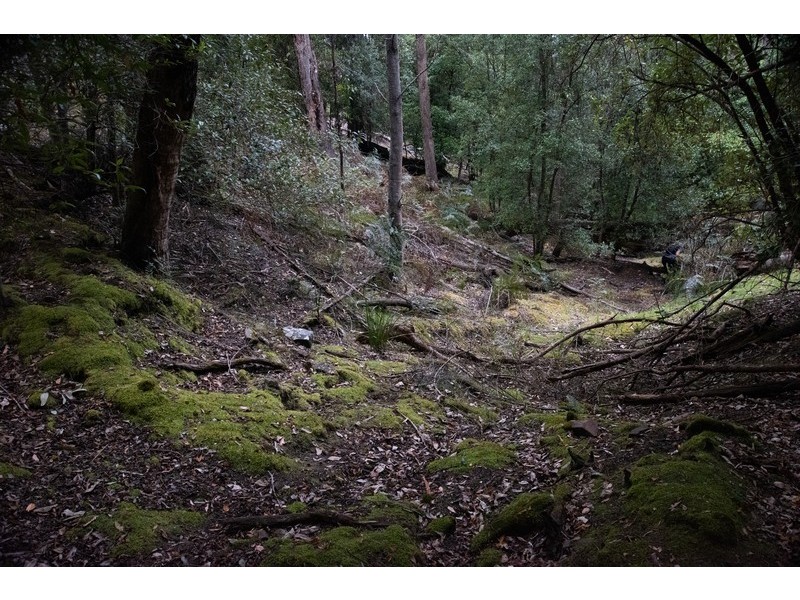 1008 Marked Tree Road, Hamilton TAS 7140