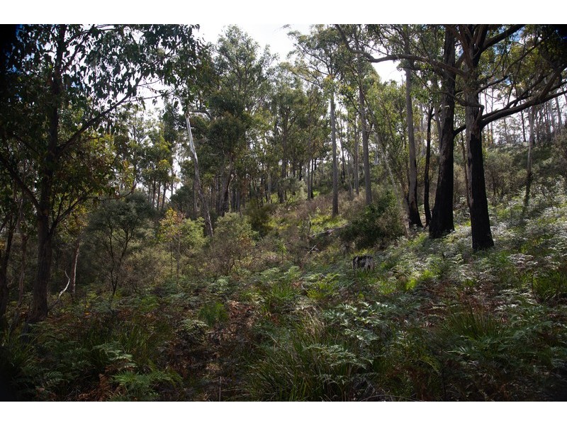 1008 Marked Tree Road, Hamilton TAS 7140