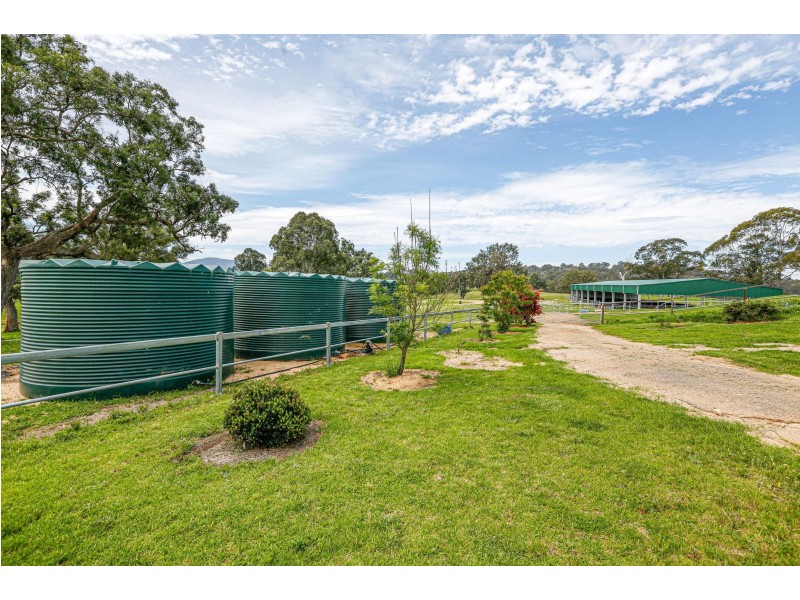 568 Coopers Guly Road, Coopers Gully NSW 2550