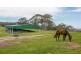 568 Coopers Guly Road, Coopers Gully NSW 2550