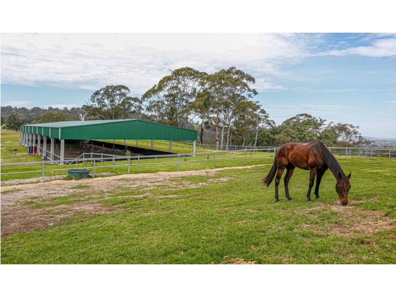 568 Coopers Guly Road, Coopers Gully NSW 2550