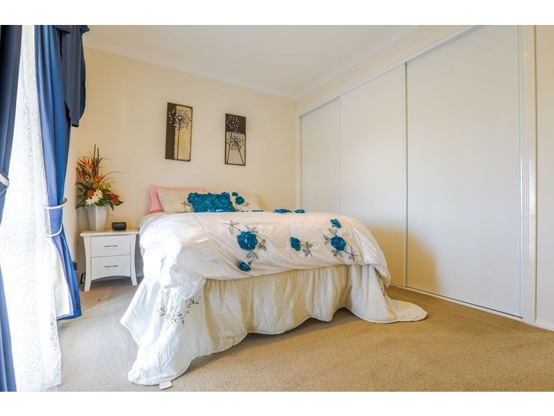 568 Coopers Guly Road, Coopers Gully NSW 2550