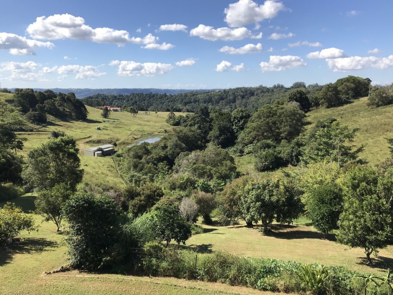 21 Lorikeet Lane, Maleny QLD 4552