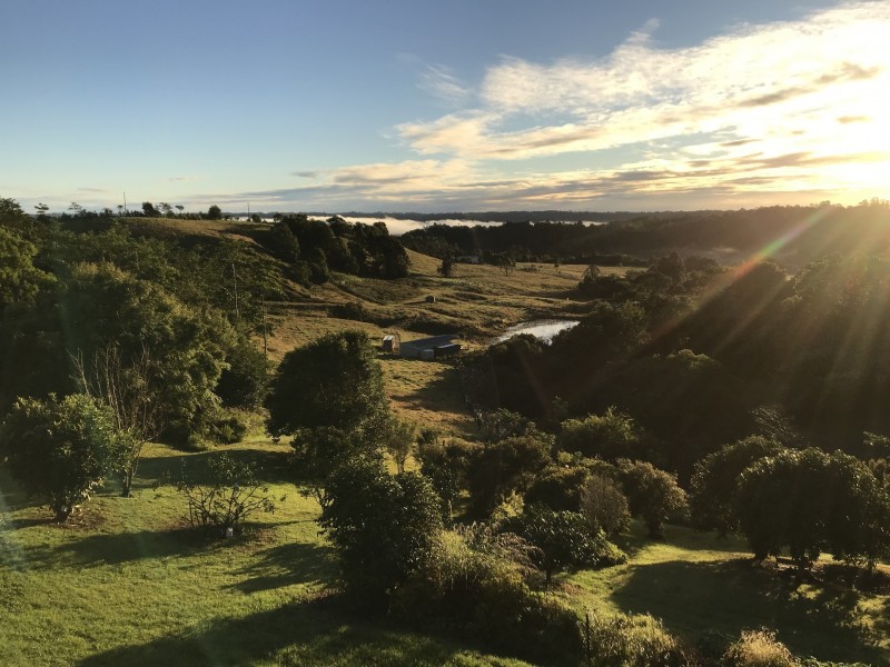 21 Lorikeet Lane, Maleny QLD 4552