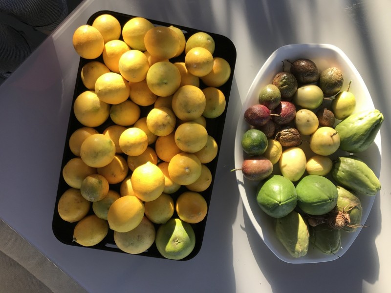 21 Lorikeet Lane, Maleny QLD 4552