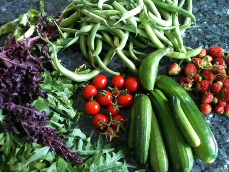 21 Lorikeet Lane, Maleny QLD 4552