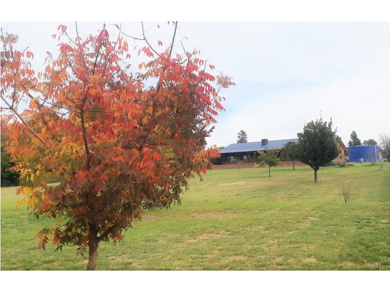 20 Petticoat Lane, Young NSW 2594