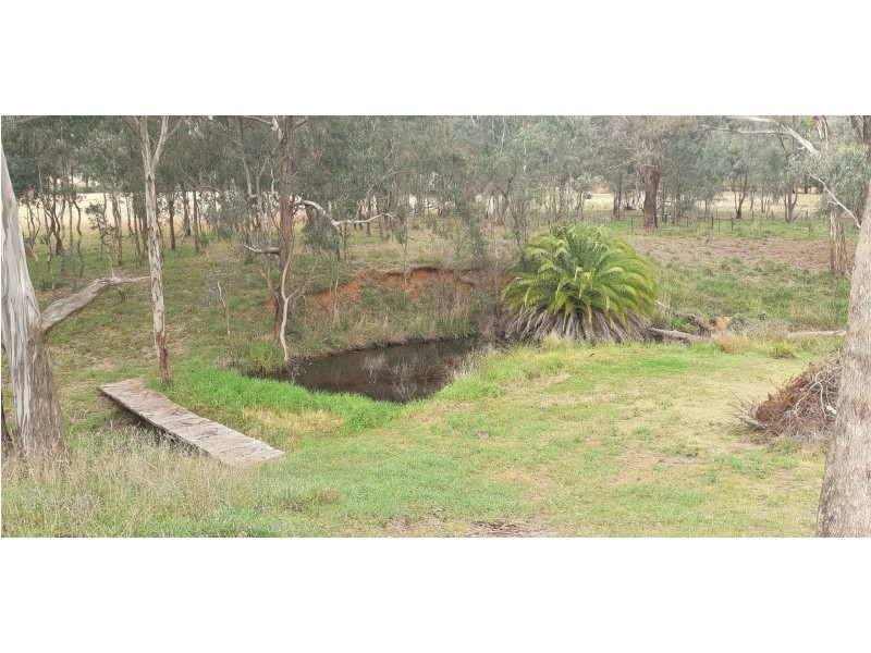 20 Petticoat Lane, Young NSW 2594