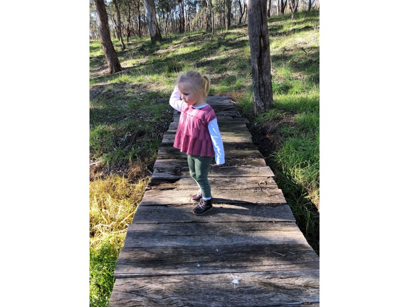 20 Petticoat Lane, Young NSW 2594