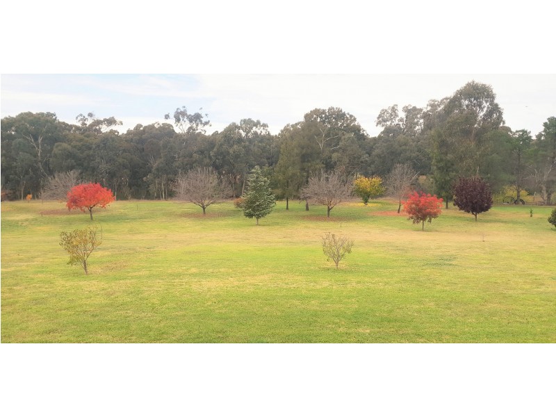 20 Petticoat Lane, Young NSW 2594