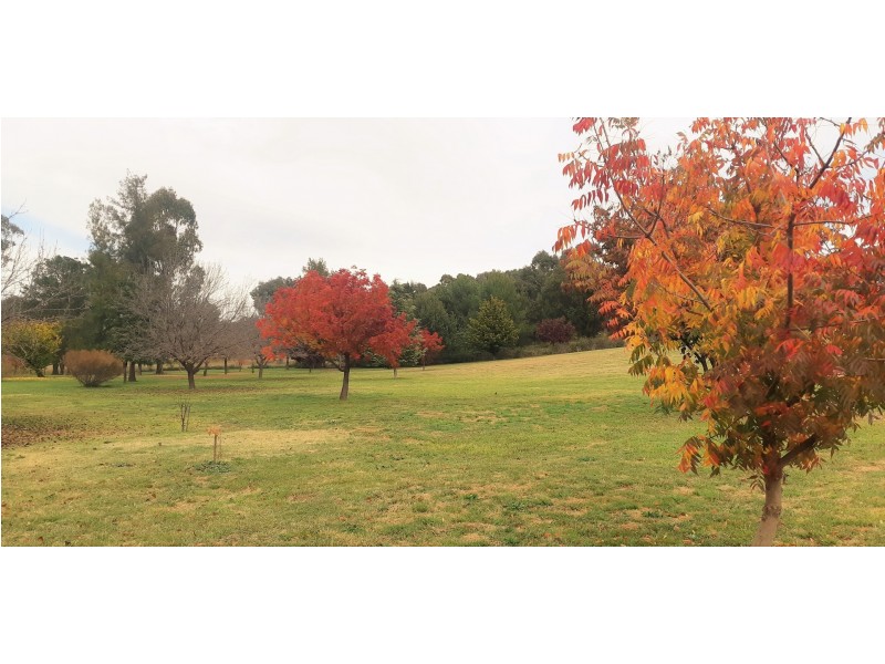 20 Petticoat Lane, Young NSW 2594